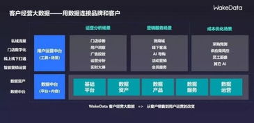 2019全球數字價值峰會 WakeData李柯辰——以數據為橋，連接品牌與客戶
